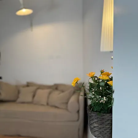 Labanca's Luxury Navona *